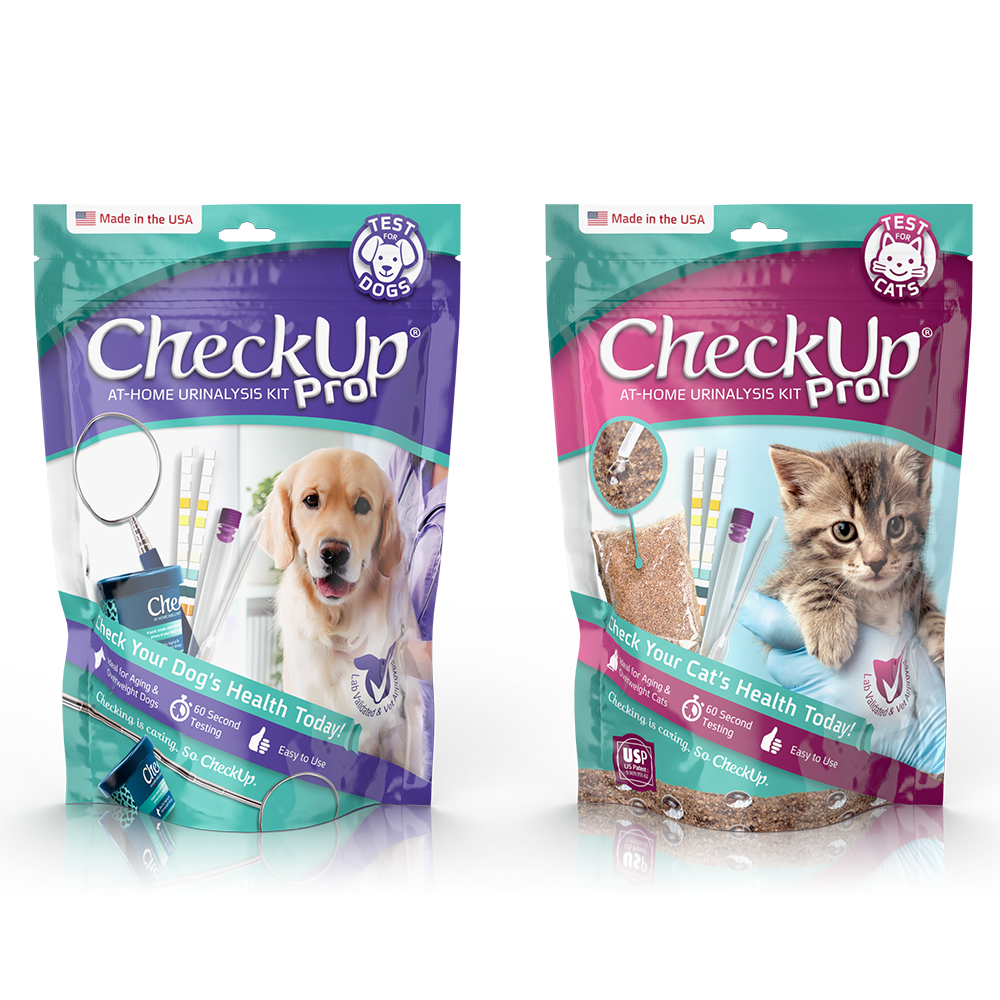 What Does A Dog Check Up Consist Of